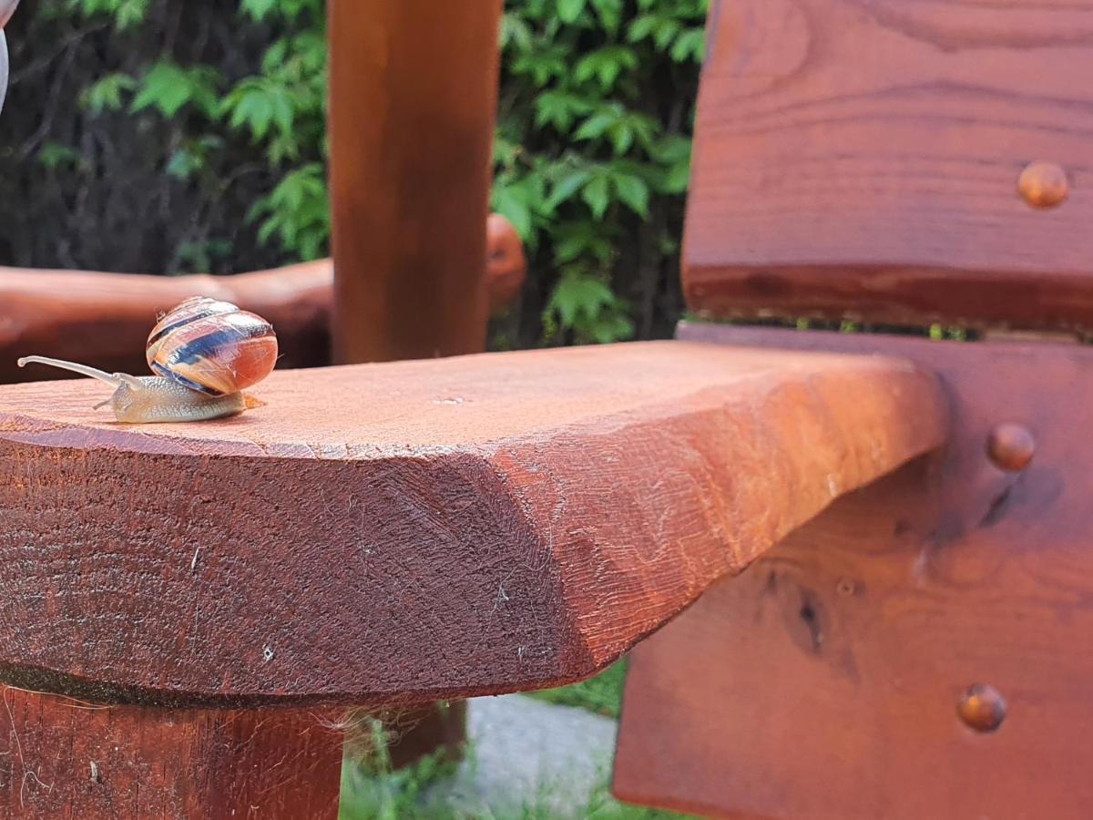 Pokoje U Gosi Węgorzewo Zewnętrze zdjęcie